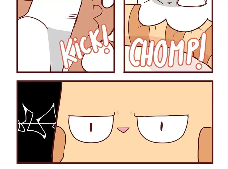 Saphie: The One-Eyed Cat Chapter 36 page 9 - Chapter 36: If This Was a Manga
