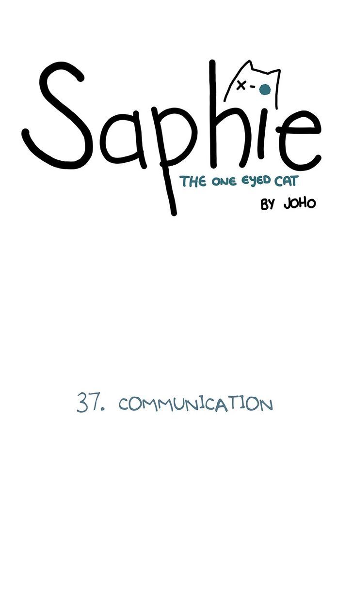 Saphie: The One-Eyed Cat Chapter 37 page 1 - Chapter 37