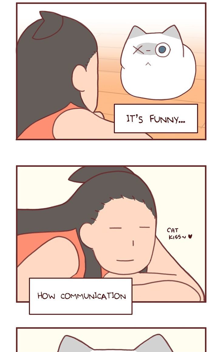 Saphie: The One-Eyed Cat Chapter 37 page 3 - Chapter 37