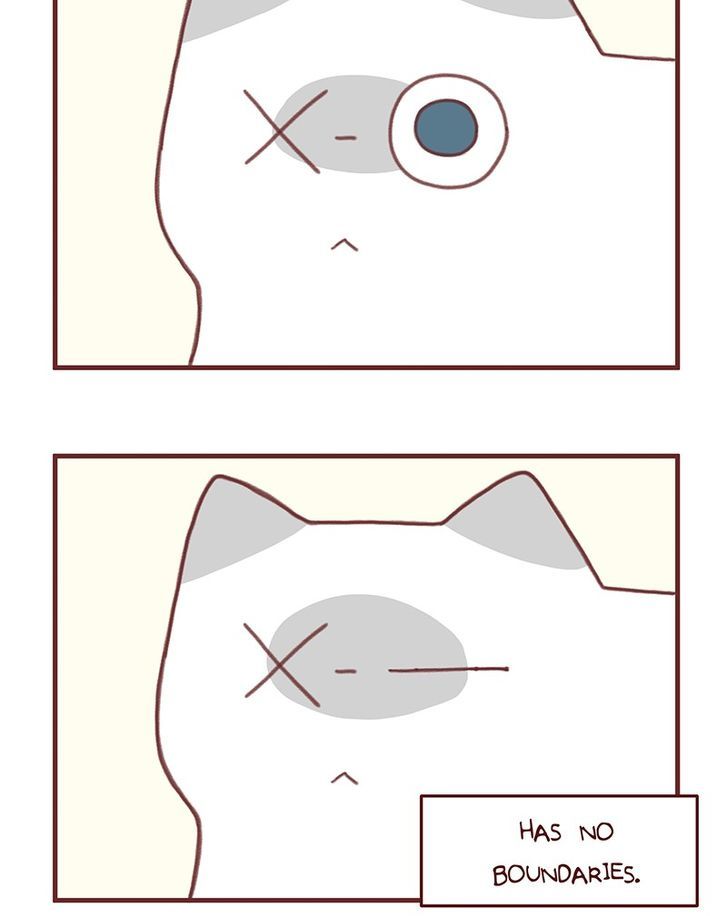 Saphie: The One-Eyed Cat Chapter 37 page 4 - Chapter 37