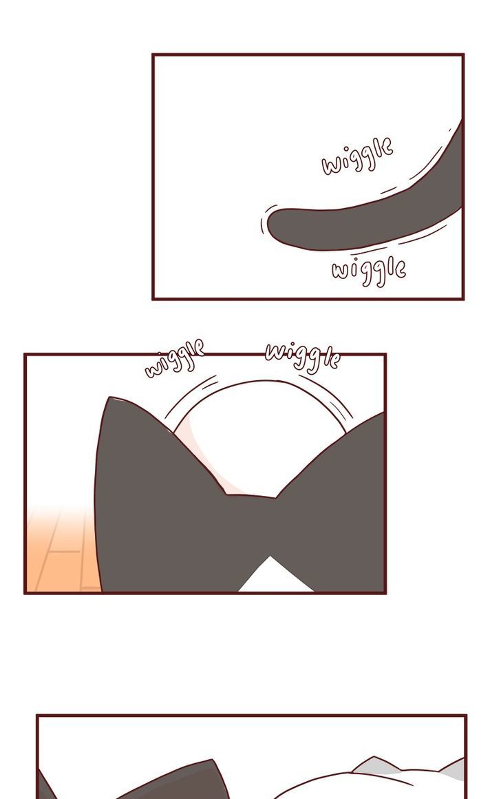 Saphie: The One-Eyed Cat Chapter 40 page 1 - Chapter 40