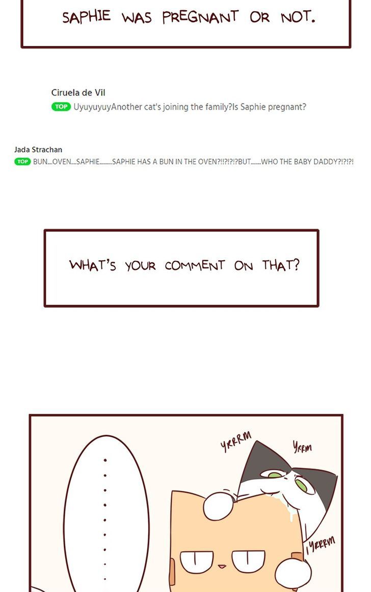 Saphie: The One-Eyed Cat Chapter 40 page 11 - Chapter 40
