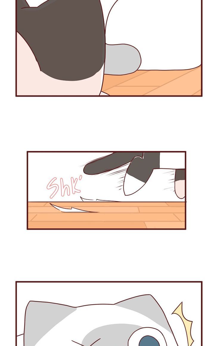 Saphie: The One-Eyed Cat Chapter 40 page 2 - Chapter 40