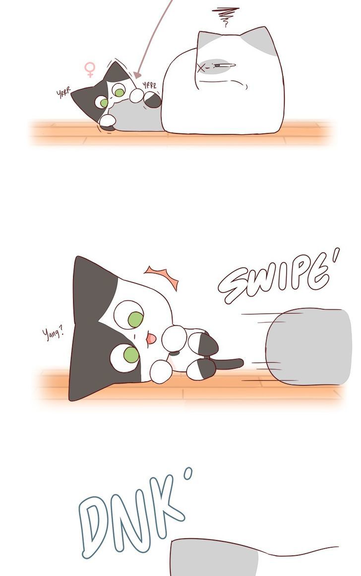 Saphie: The One-Eyed Cat Chapter 40 page 4 - Chapter 40