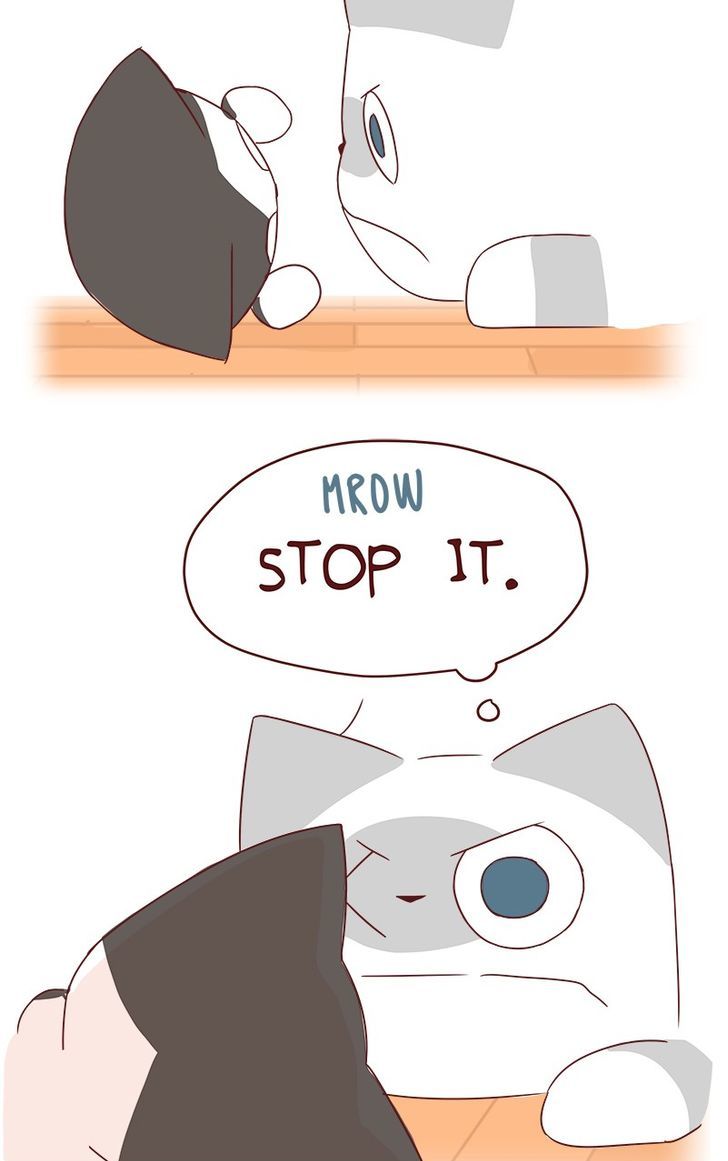 Saphie: The One-Eyed Cat Chapter 40 page 5 - Chapter 40