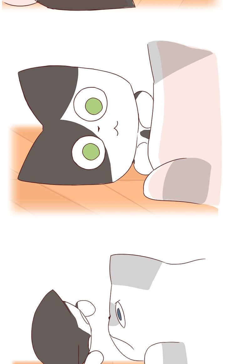 Saphie: The One-Eyed Cat Chapter 40 page 6 - Chapter 40