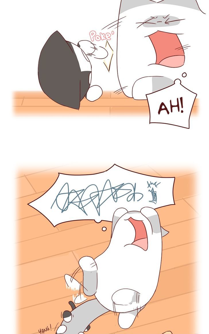 Saphie: The One-Eyed Cat Chapter 40 page 8 - Chapter 40