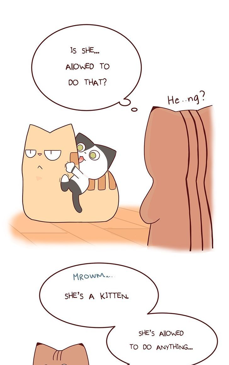 Saphie: The One-Eyed Cat Chapter 41 page 2 - Chapter 41