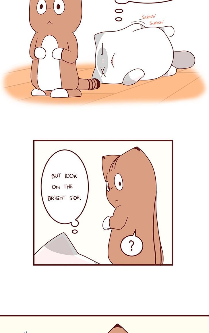 Saphie: The One-Eyed Cat Chapter 41 page 3 - Chapter 41