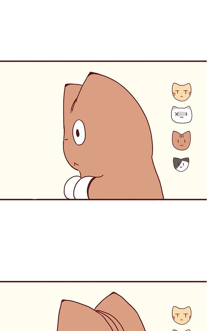 Saphie: The One-Eyed Cat Chapter 41 page 5 - Chapter 41