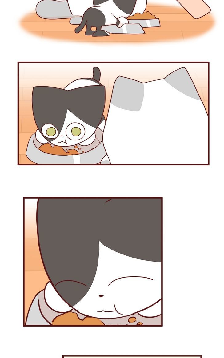 Saphie: The One-Eyed Cat Chapter 42 page 10 - Chapter 42