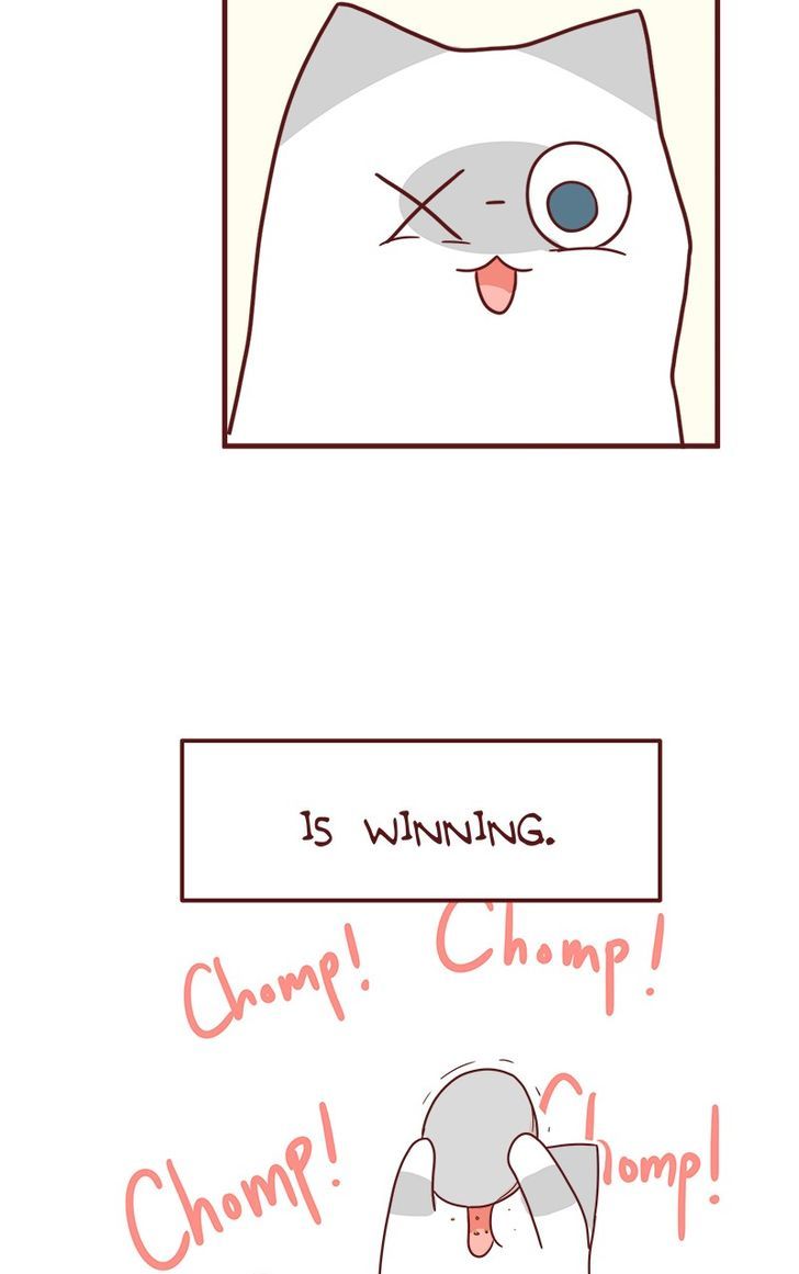 Saphie: The One-Eyed Cat Chapter 42 page 11 - Chapter 42