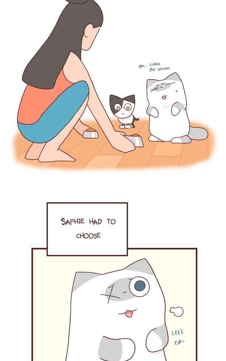Saphie: The One-Eyed Cat Chapter 42 page 2 - Chapter 42