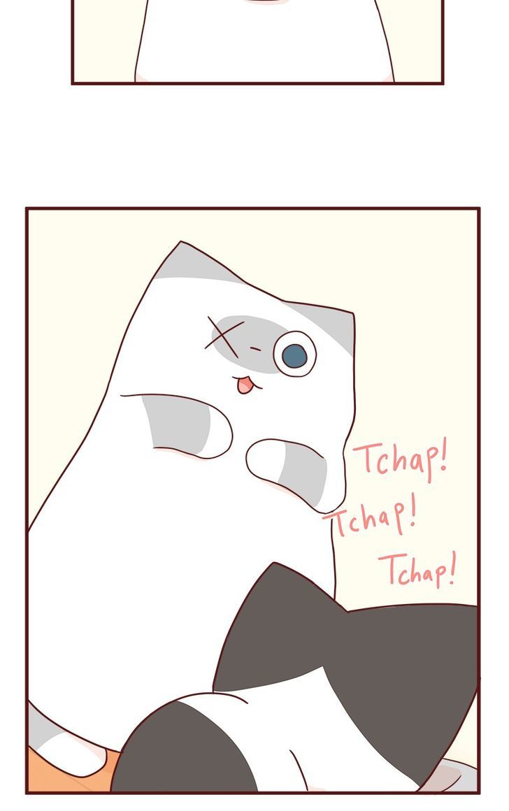 Saphie: The One-Eyed Cat Chapter 42 page 3 - Chapter 42