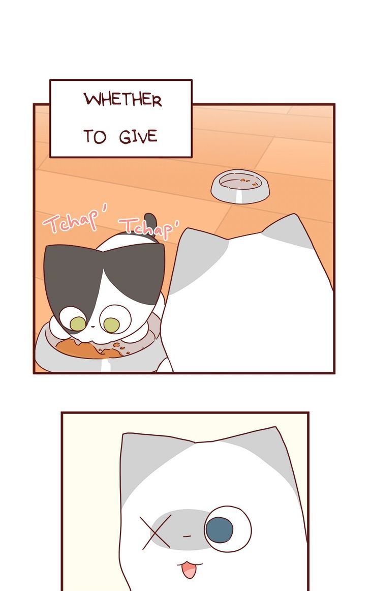 Saphie: The One-Eyed Cat Chapter 42 page 4 - Chapter 42