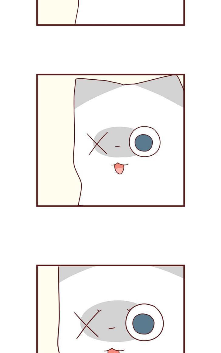 Saphie: The One-Eyed Cat Chapter 42 page 5 - Chapter 42