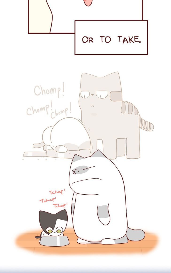 Saphie: The One-Eyed Cat Chapter 42 page 6 - Chapter 42