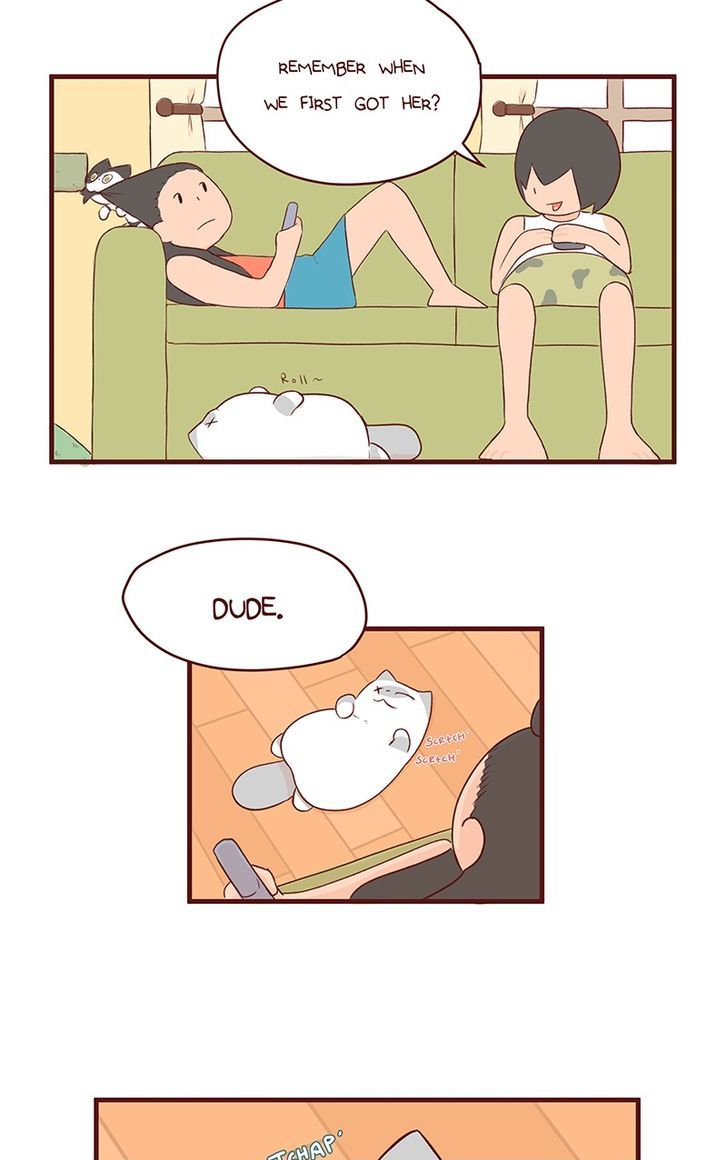 Saphie: The One-Eyed Cat Chapter 44 page 4 - Chapter 44