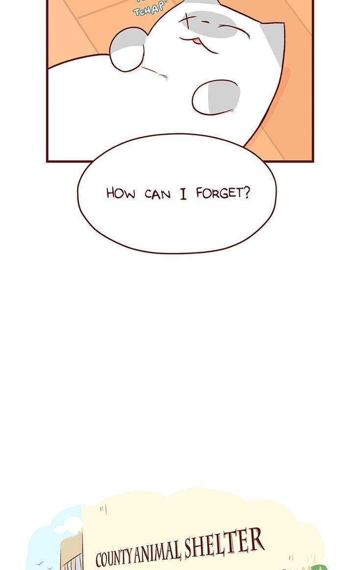 Saphie: The One-Eyed Cat Chapter 44 page 5 - Chapter 44