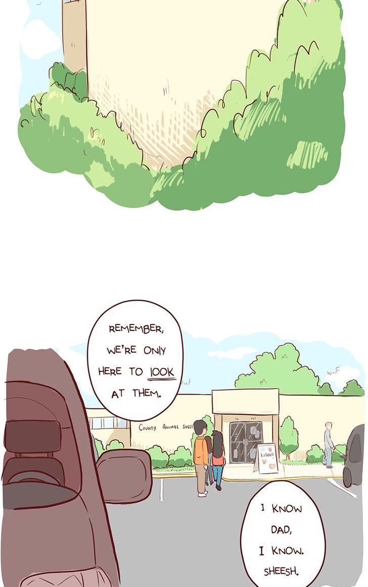 Saphie: The One-Eyed Cat Chapter 44 page 6 - Chapter 44