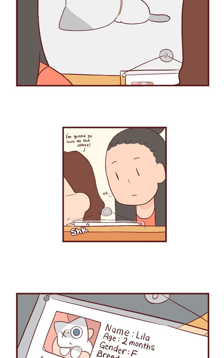 Saphie: The One-Eyed Cat Chapter 45 page 5 - Chapter 45