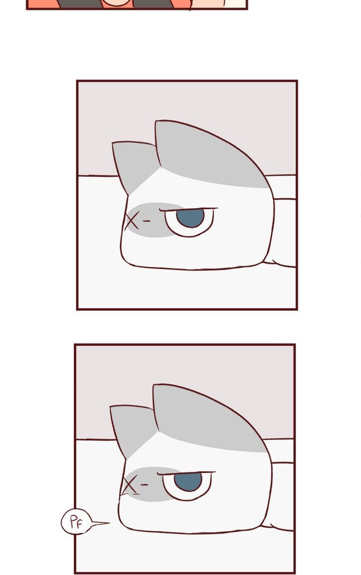 Saphie: The One-Eyed Cat Chapter 45 page 9 - Chapter 45