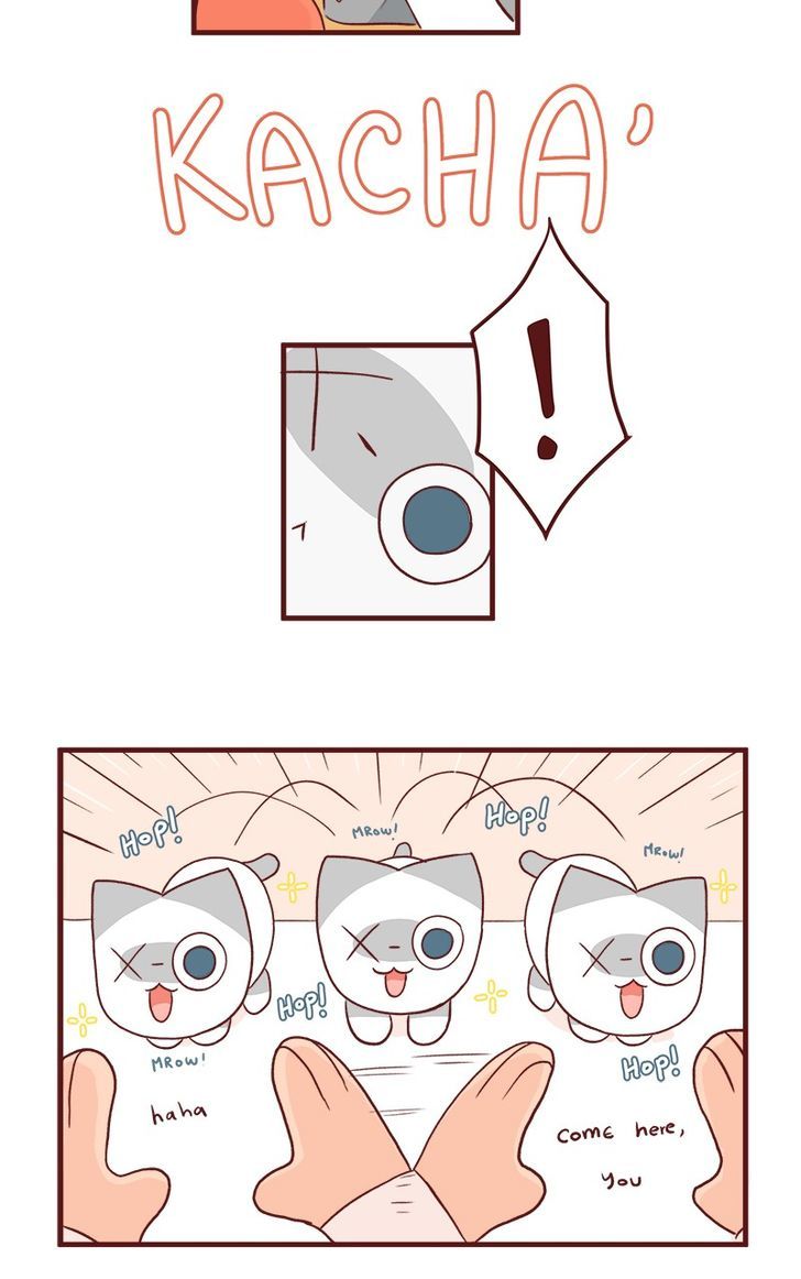 Saphie: The One-Eyed Cat Chapter 46 page 3 - Chapter 46