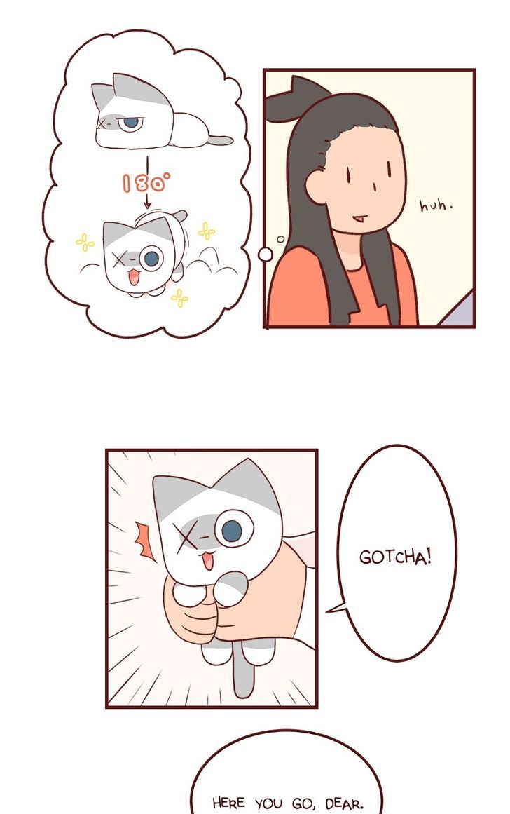 Saphie: The One-Eyed Cat Chapter 46 page 4 - Chapter 46