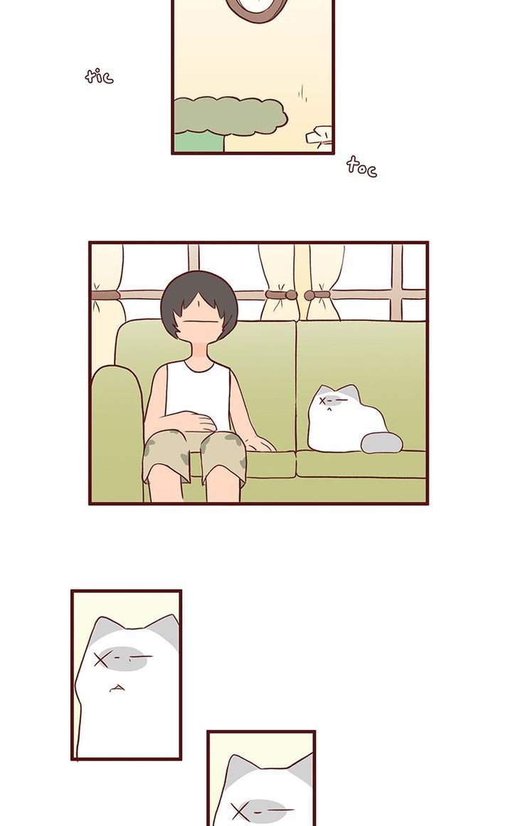 Saphie: The One-Eyed Cat Chapter 47 page 2 - Chapter 47