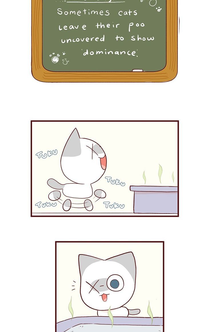 Saphie: The One-Eyed Cat Chapter 47 page 6 - Chapter 47
