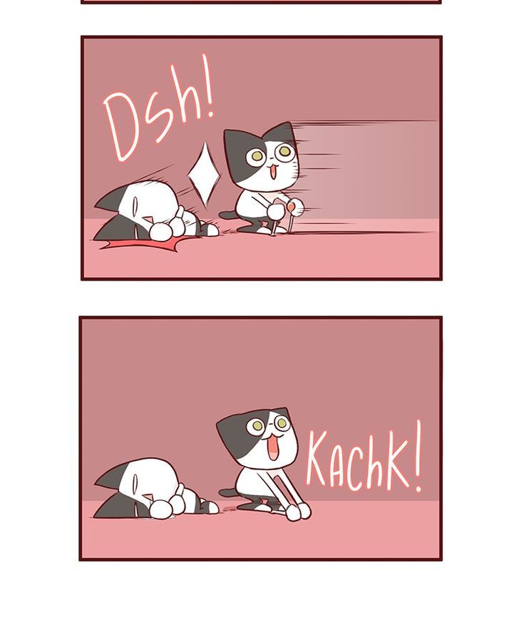 Saphie: The One-Eyed Cat Chapter 48 page 2 - Chapter 48