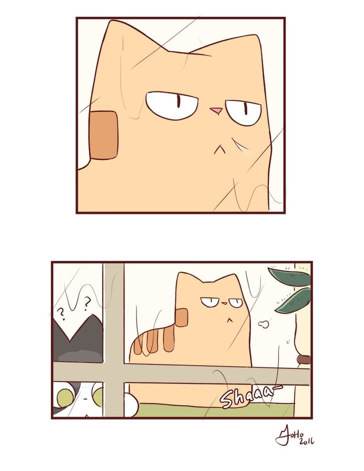 Saphie: The One-Eyed Cat Chapter 49 page 1 - Chapter 49