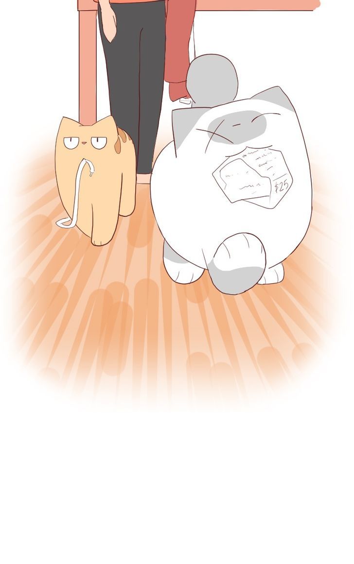Saphie: The One-Eyed Cat Chapter 5 page 16 - Chapter 5 : Priceless