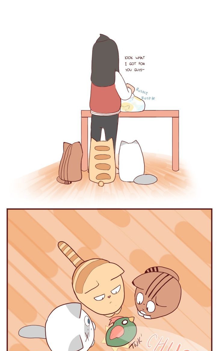 Saphie: The One-Eyed Cat Chapter 5 page 2 - Chapter 5 : Priceless