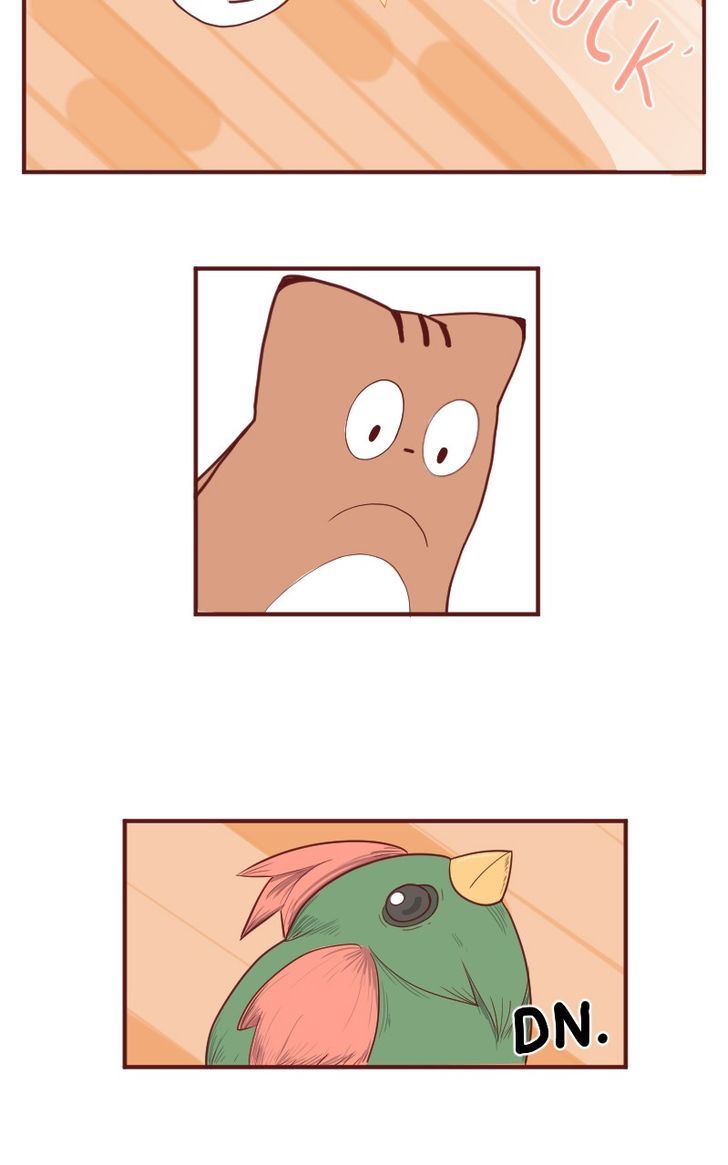Saphie: The One-Eyed Cat Chapter 5 page 3 - Chapter 5 : Priceless
