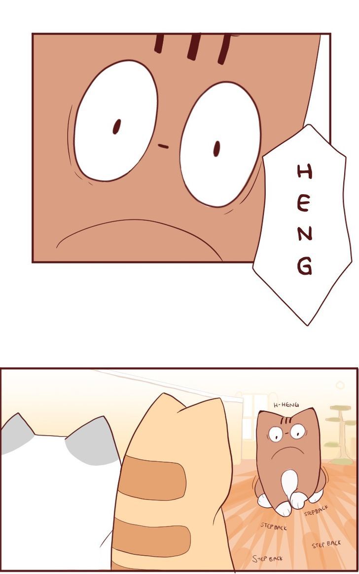 Saphie: The One-Eyed Cat Chapter 5 page 5 - Chapter 5 : Priceless