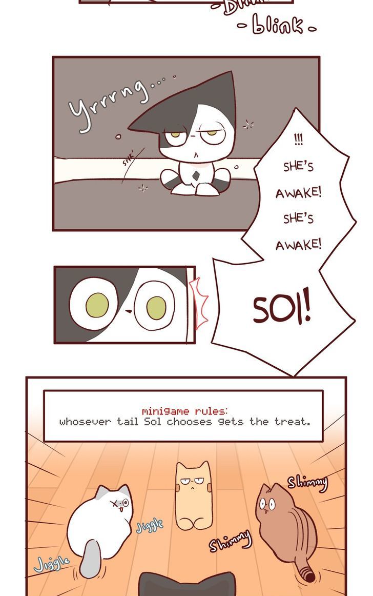Saphie: The One-Eyed Cat Chapter 50 page 11 - Chapter 50