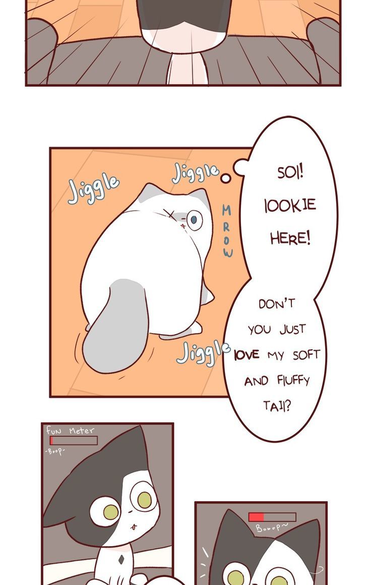 Saphie: The One-Eyed Cat Chapter 50 page 12 - Chapter 50