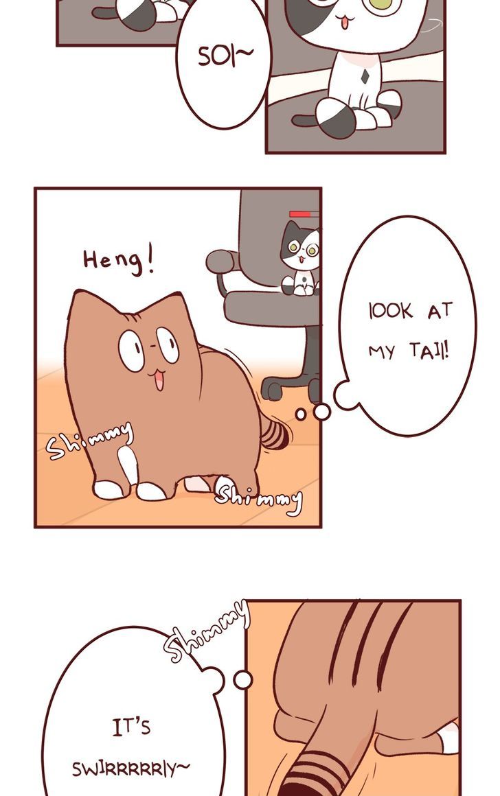 Saphie: The One-Eyed Cat Chapter 50 page 13 - Chapter 50