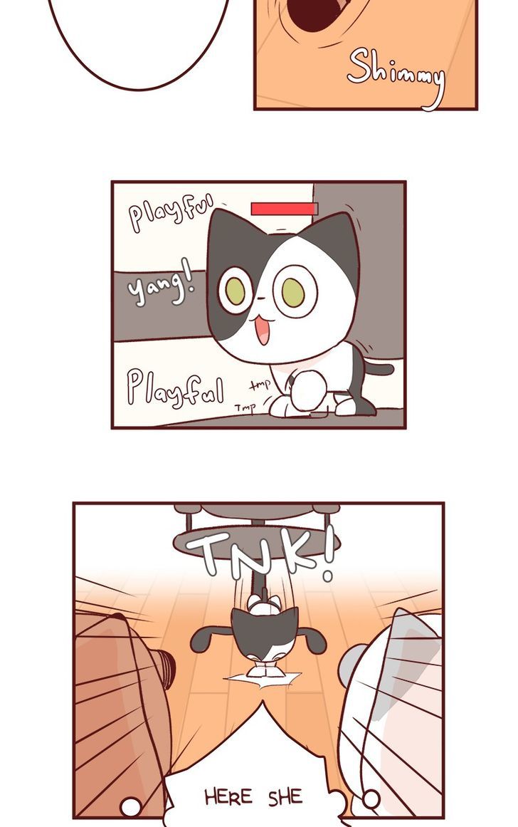 Saphie: The One-Eyed Cat Chapter 50 page 14 - Chapter 50