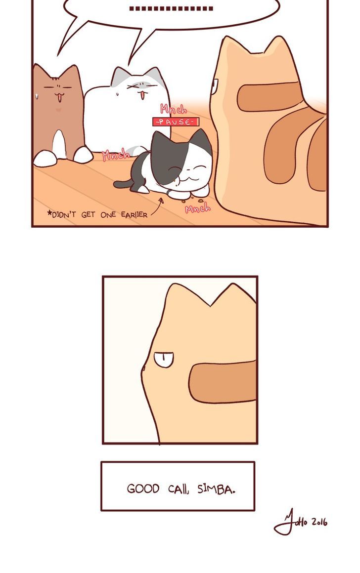 Saphie: The One-Eyed Cat Chapter 50 page 16 - Chapter 50