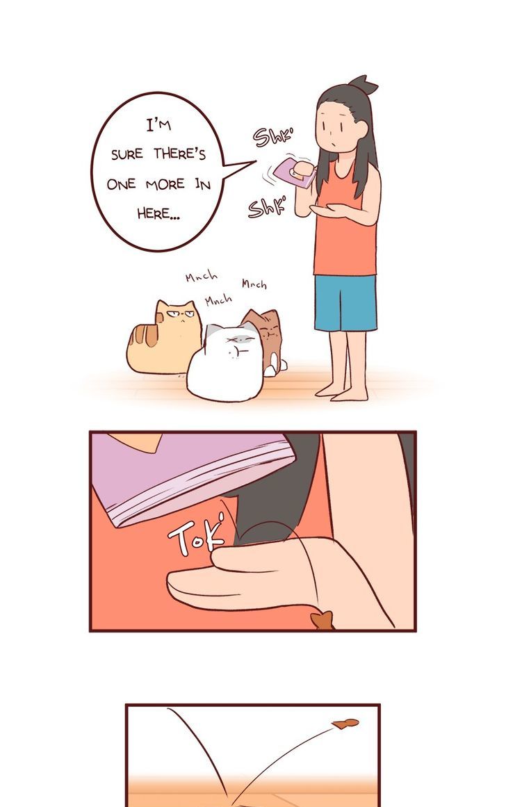 Saphie: The One-Eyed Cat Chapter 50 page 2 - Chapter 50