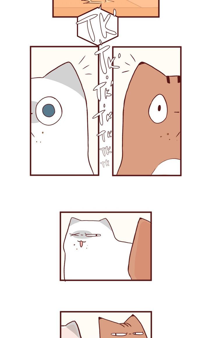 Saphie: The One-Eyed Cat Chapter 50 page 3 - Chapter 50