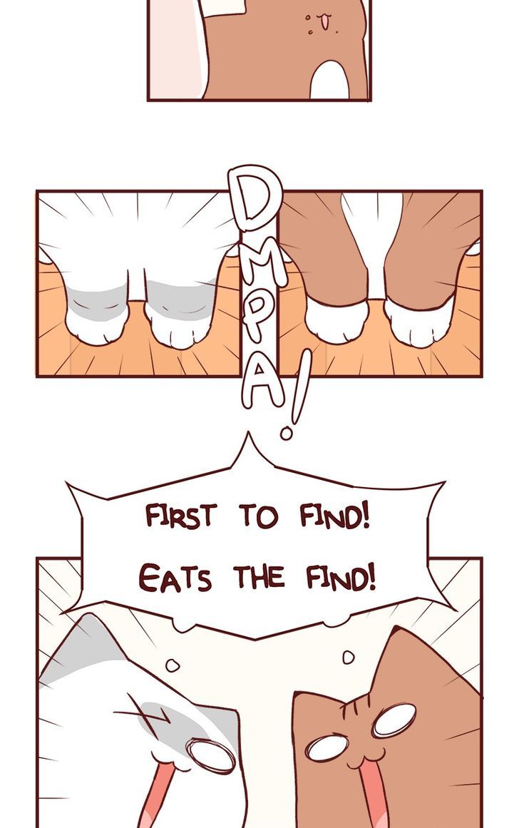 Saphie: The One-Eyed Cat Chapter 50 page 4 - Chapter 50
