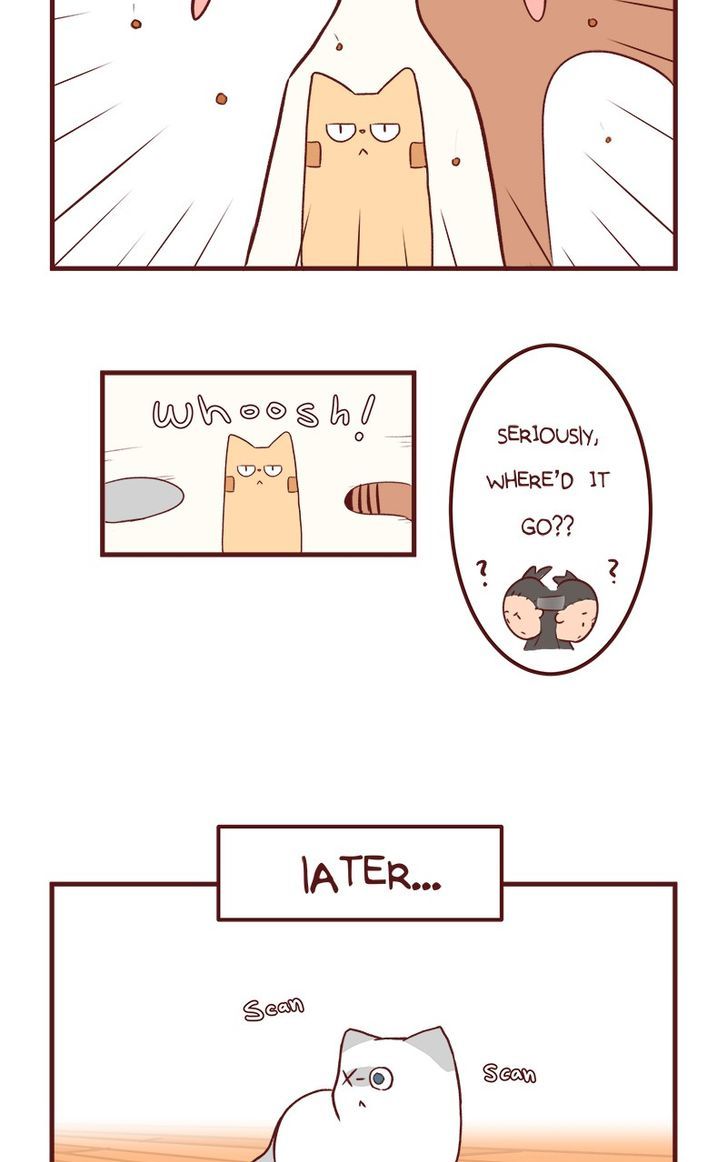 Saphie: The One-Eyed Cat Chapter 50 page 5 - Chapter 50