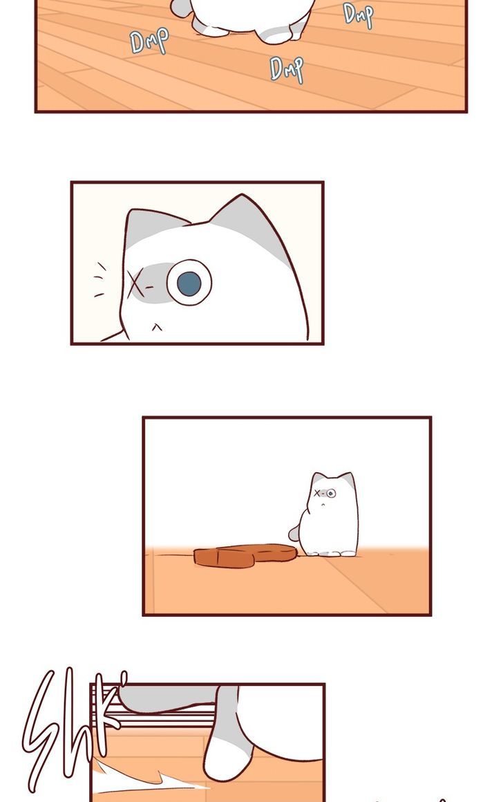 Saphie: The One-Eyed Cat Chapter 50 page 6 - Chapter 50