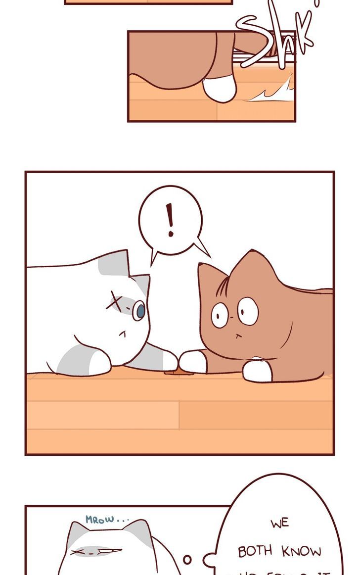 Saphie: The One-Eyed Cat Chapter 50 page 7 - Chapter 50