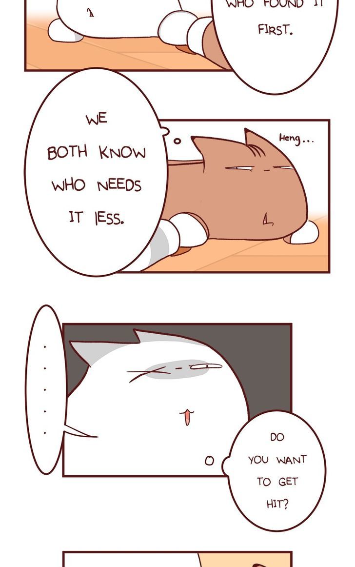 Saphie: The One-Eyed Cat Chapter 50 page 8 - Chapter 50