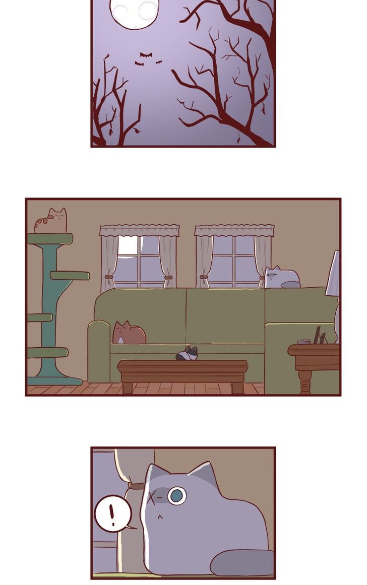 Saphie: The One-Eyed Cat Chapter 51 page 2 - Chapter 51