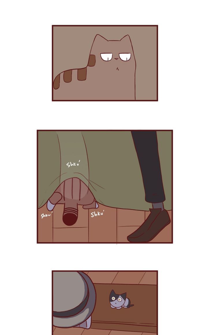 Saphie: The One-Eyed Cat Chapter 51 page 3 - Chapter 51